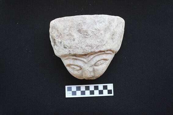 הפרצופה // צילום: צביקה צוק, רט"ג 